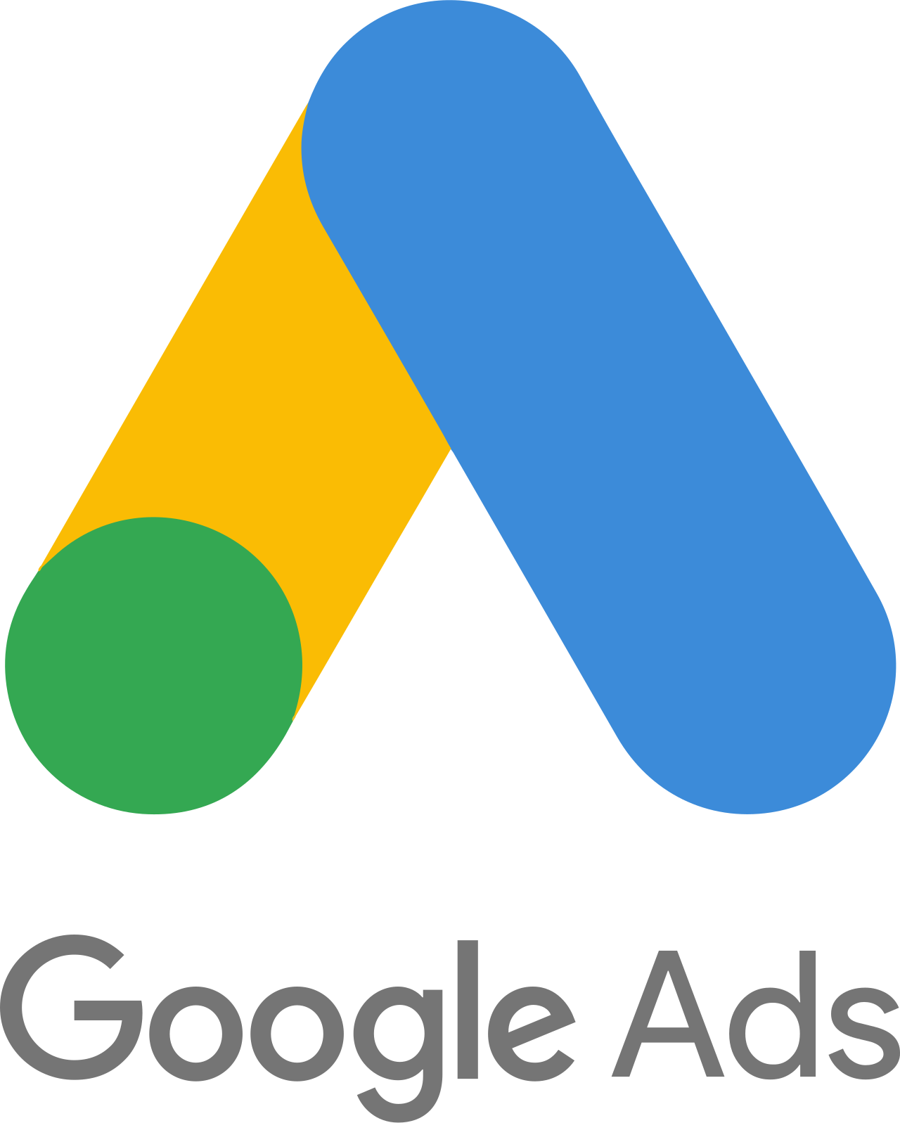 Expert Google Ads Lyon